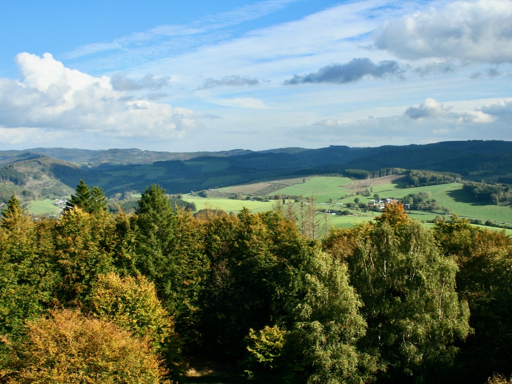 Vom Wilzenbergturm schweift der Blick über herbstlich gefärbte Laubbäume zu den Bergketten am Horizont.